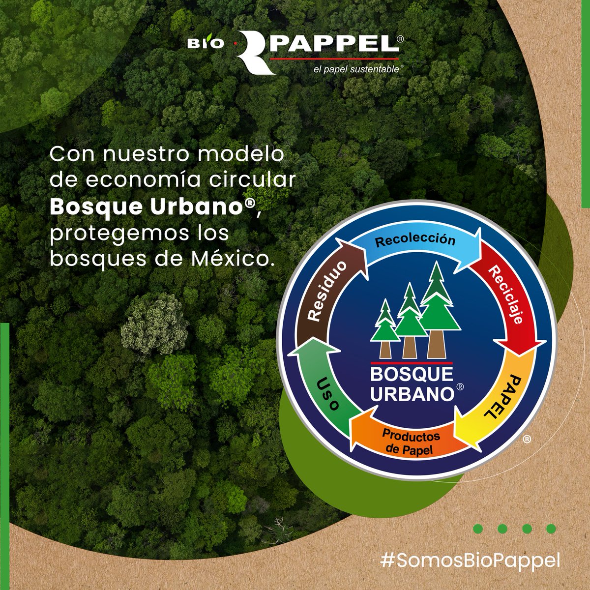 BioPappel's tweet photo. ¿Sabías qué…? Con nuestro modelo de economía circular #BosqueUrbano producimos papel reciclando el que ya existe. Esto permite abastecernos de materia prima sin tener que talar árboles. #OrgulloBioPappel ♻️ https://t.co/1rItBsyvNe