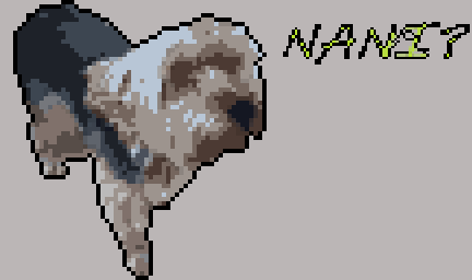 𝒩𝒶𝓃𝒾 tweet media