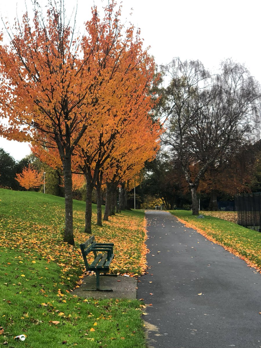 SophAtri_physio's tweet photo. Victoria park looking pretty today during my weekly well-being hour! Makes such a difference to have the chance to get out and walk now the clocks have gone back! @SWBHnhs https://t.co/VLZ5juUPVl