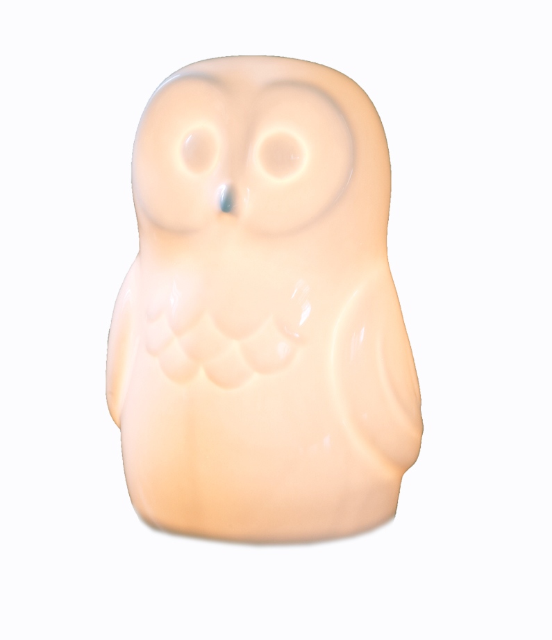 White_RabbitUK's tweet photo. This owl nightlight is made exclusively by us from beautiful bone china and glows from the inside to comfort and reassure little ones during the night.

#owllamp #animallamp #nightlight #kidsnurserylamp #childrensowllamp ##nurseryidea #kidsideas https://t.co/hXrEMda2bx