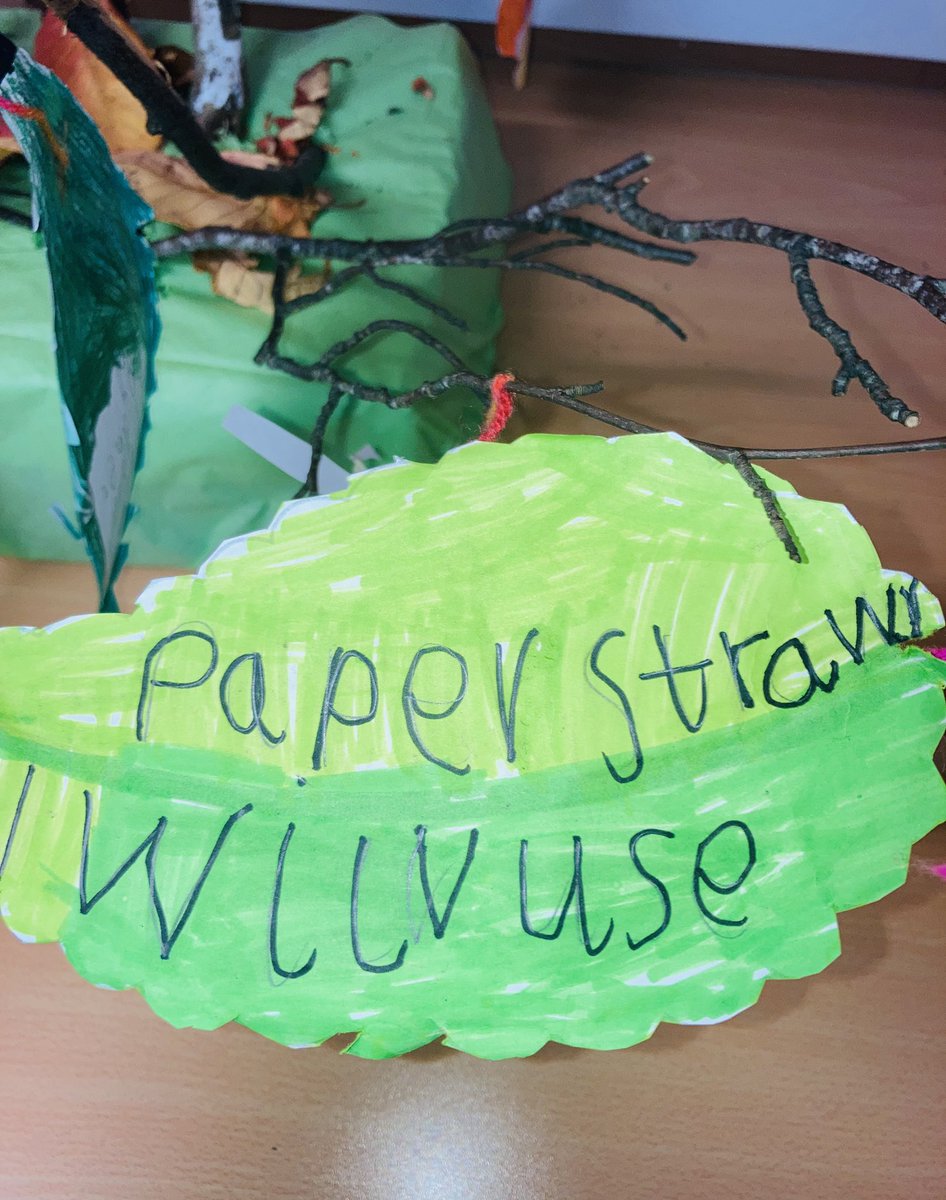 LawPrimarySLC's tweet photo. Room 4 have been learning about #COP26 recently. Today everyone made a #PromiseToThePlanet and shared our ideas on what we love about our planet while creating a ‘We Love Our Planet’ nature heart. #GlobalGoalsExplorers @TheWorldsLesson @LawPrimarySLC https://t.co/LN3yzkLjOe