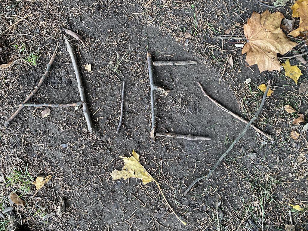 primary_avenue's tweet photo. Reception and Year 1 using sticks to write their names in Woodland Learning this week! πͺ΅πΏπ #woodlandlearning #forestschool #outdoored https://t.co/aUQqv4TdXW