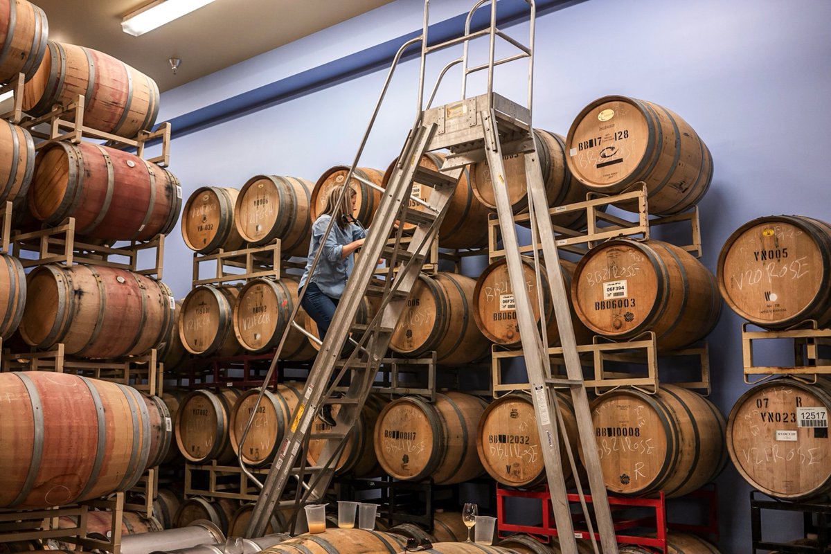✨Behind the scenes✨

Sometimes wine making requires a (very!) big ladder 🪜🍇🍷✨. #VitalWines #PurposeInEveryPour