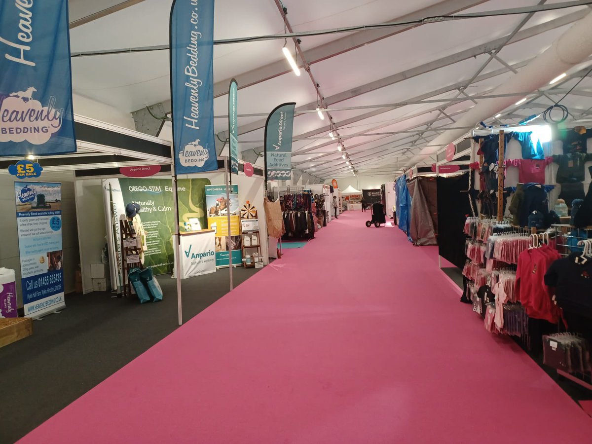 Xaveight8 tweet media