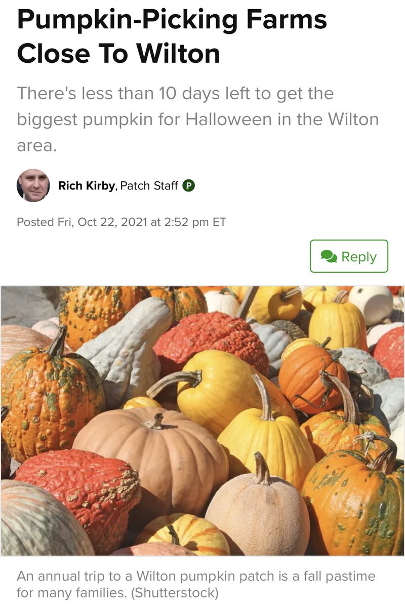 SenatorJulie's tweet photo. Thanks for accepting the pie challenge @WillHaskellCT! I know there are plenty of wonderful places in Wilton where you can get fresh ingredients later!🎃 #GoHatters 

https://t.co/UUUdNouLQI https://t.co/7yW3mWphUS