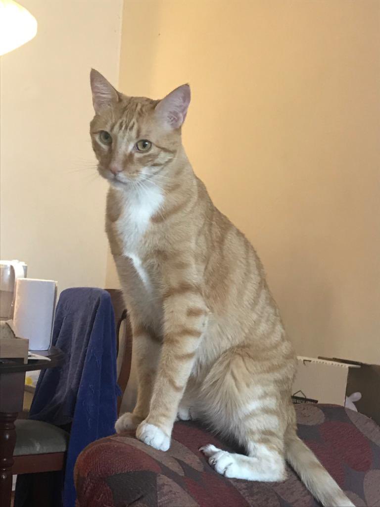 Ma. Loreto Bravo tweet media