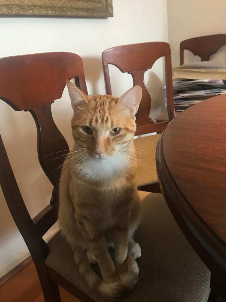 Ma. Loreto Bravo tweet media