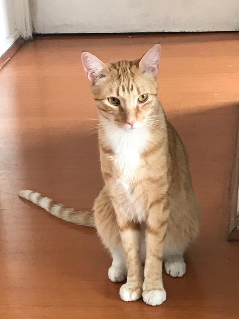 Ma. Loreto Bravo tweet media