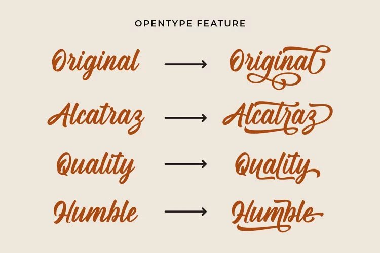 wandanidesign's tweet photo. https://t.co/SACTXxYUY7 #font #bold #script #calligraphy #typeface #fonta https://t.co/rLIudjECgt