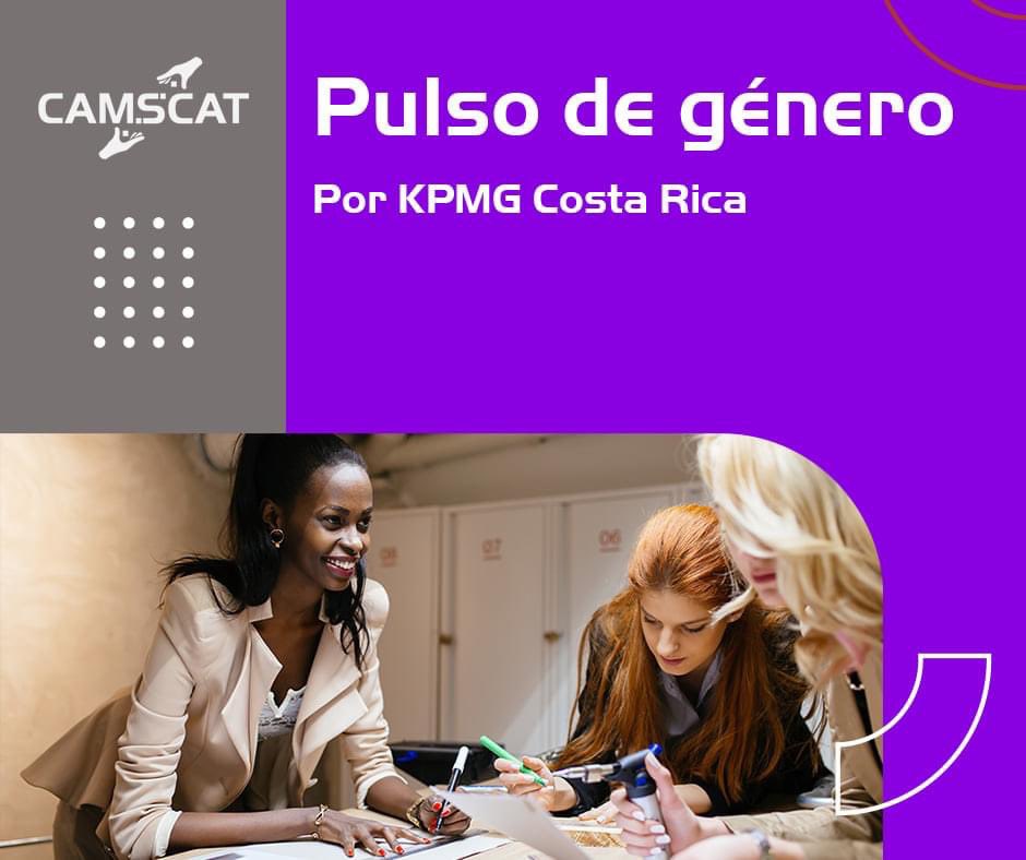 CamSCATCR's tweet photo. Informe igualdad de género 2021:
 Se estima que el 91% de las organizaciones indicaron contar con al menos una política relacionada con la igualdad de genero, y 50% de las empresas participantes si cumplen con un plan o programa para la igualdad de género.
#EquidadDeGenero https://t.co/3lUjg5OJs4
