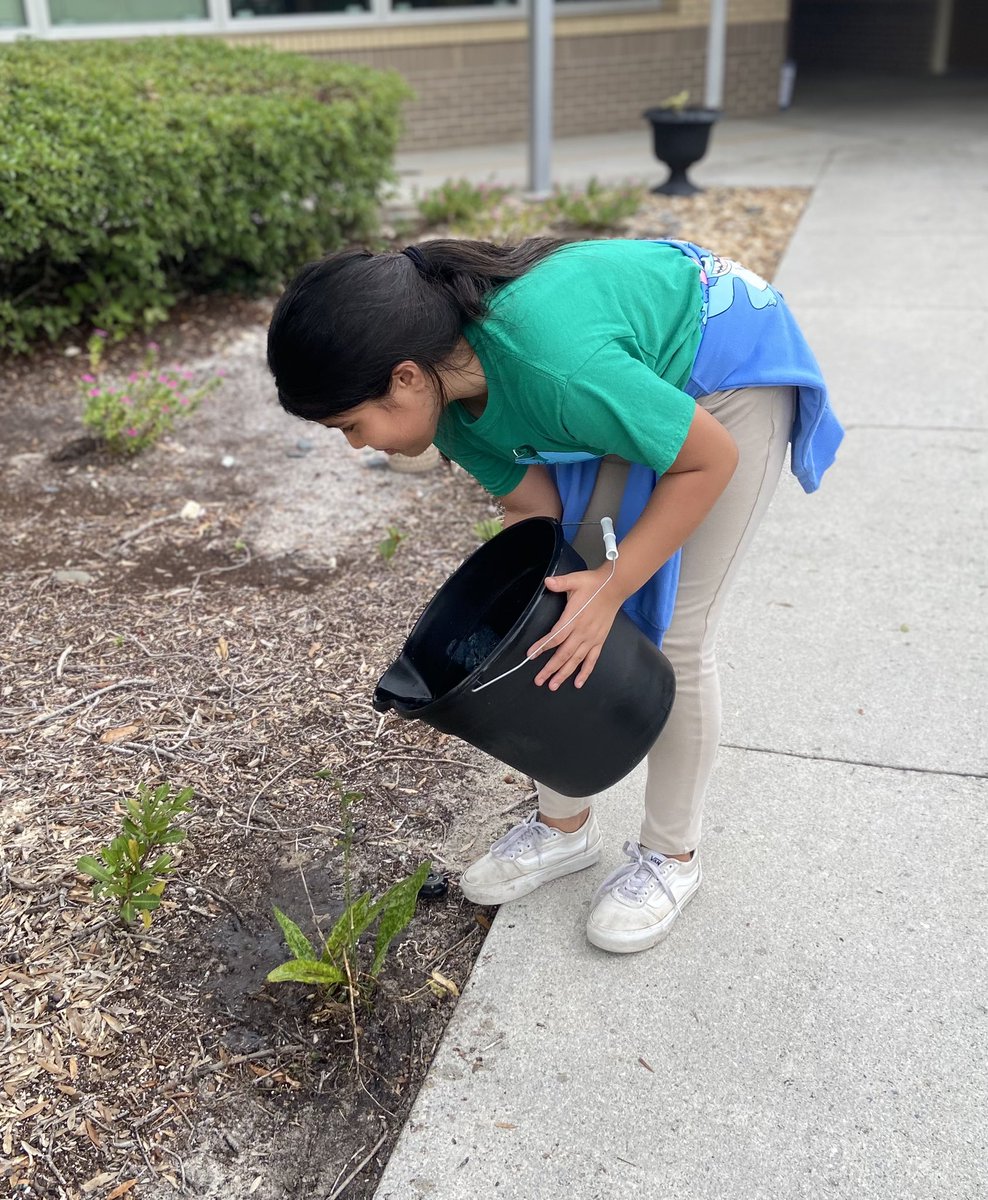 Michelle Spina tweet media