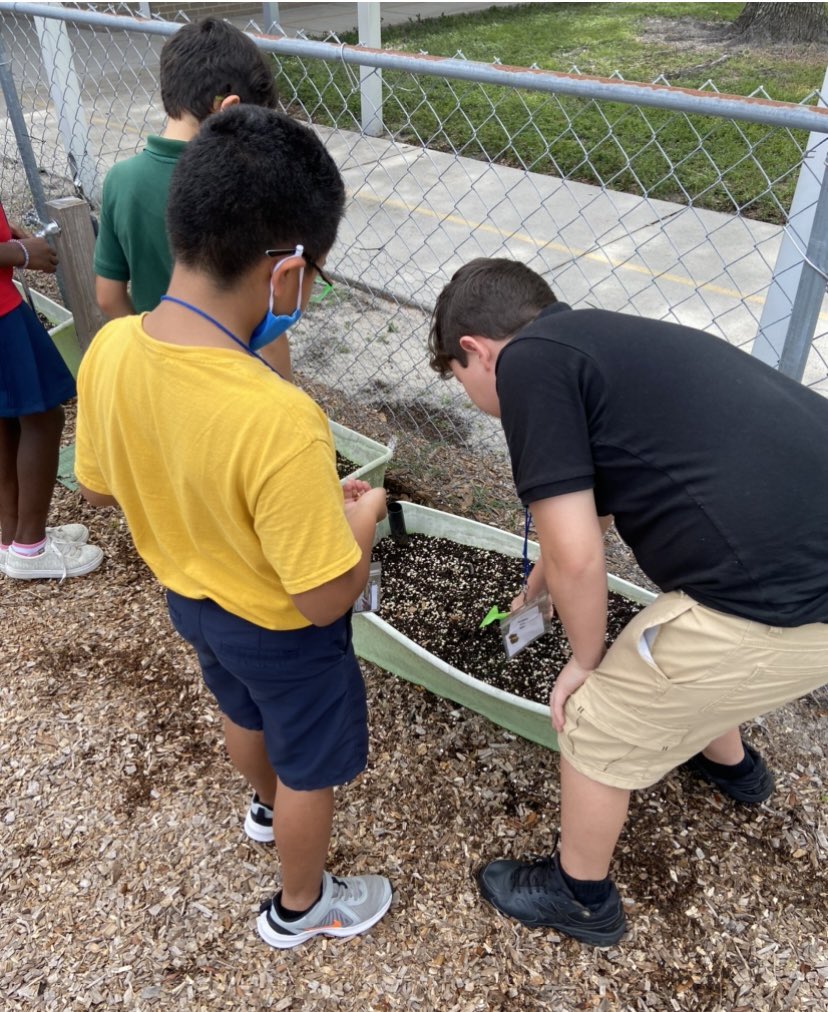 Michelle Spina tweet media