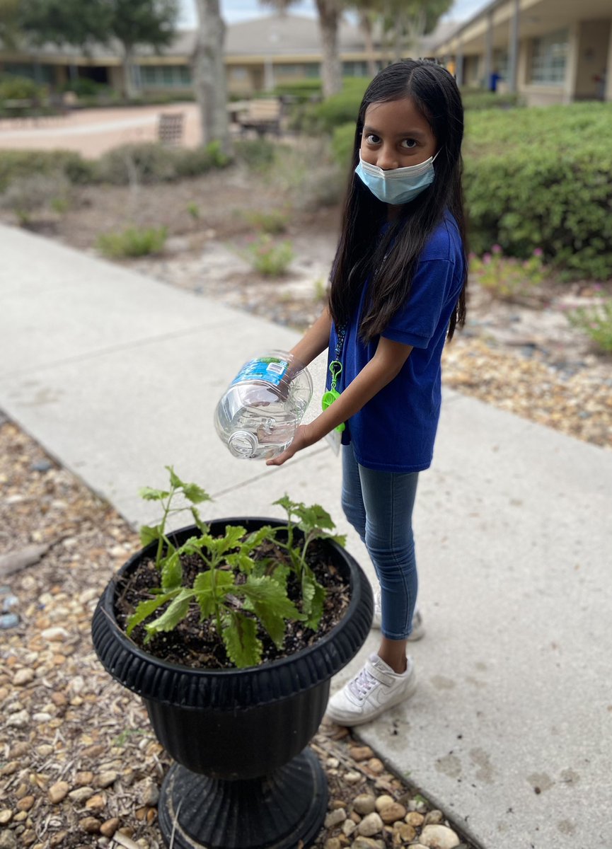 Michelle Spina tweet media