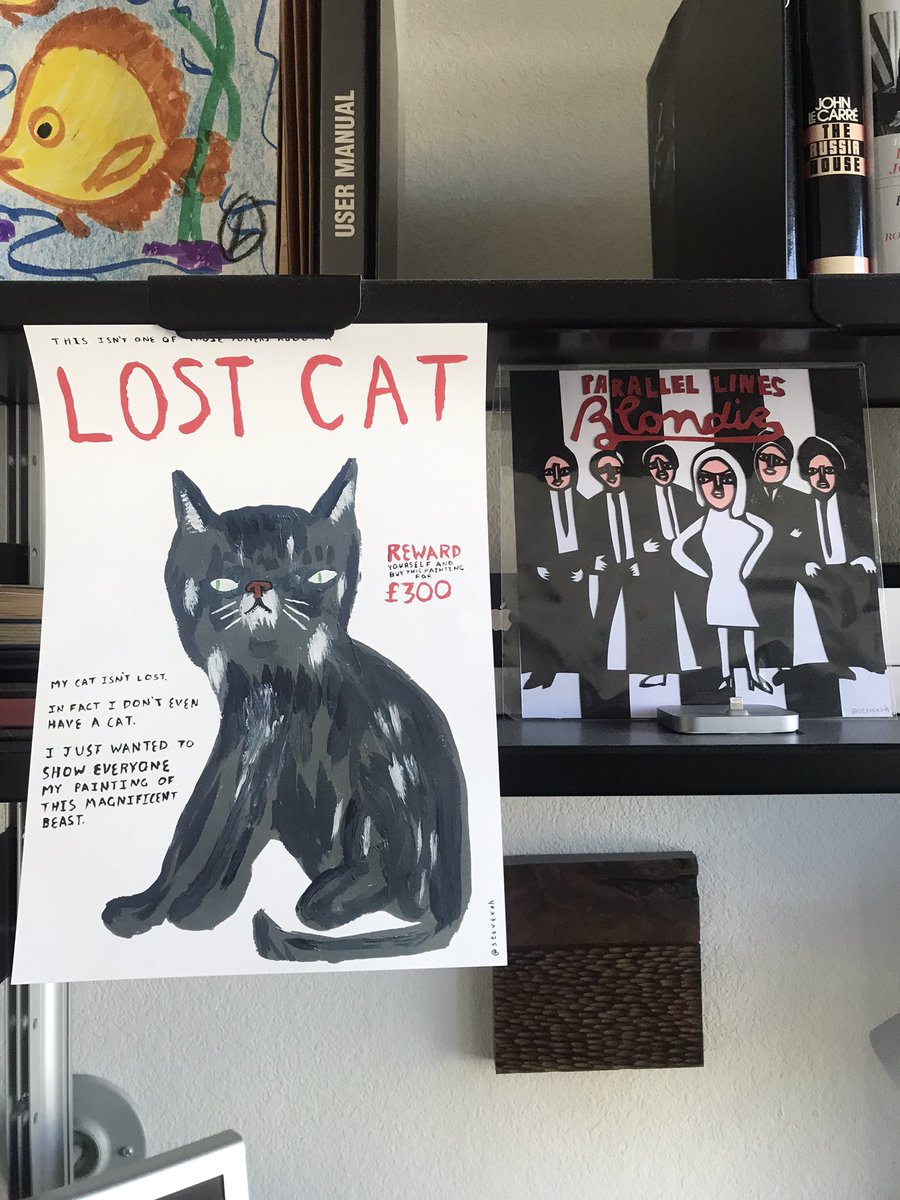 kayscorah's tweet image. #NotaLostCat meets #ParallelLines in San Francisco @stevexoh