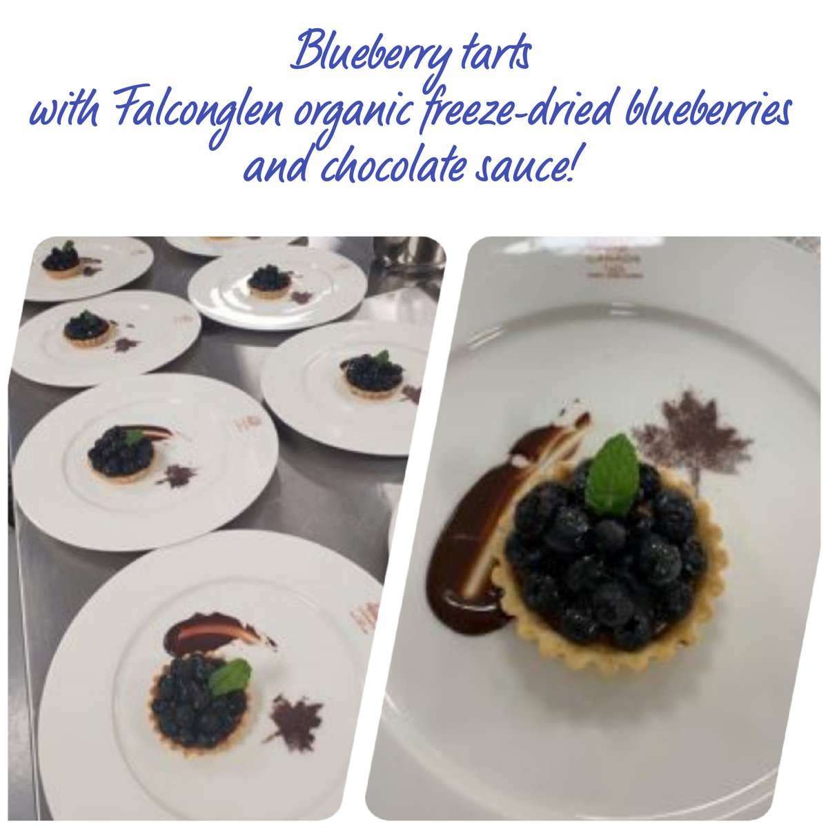 FalconglenFarms's tweet photo. We are honoured to announce that our freeze-dried organic blueberries were chosen to represent Canadian blueberry products at World Expo 2020 in Dubai!
Delicious Blueberry tarts with and chocolate sauce were baked for one of the events hosted by Canadian Pavilion! https://t.co/ZHGt8yhAwZ