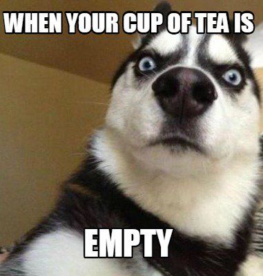 CCSleeves's tweet image. #tea #teahumor #dogs #funny #memes #huskies