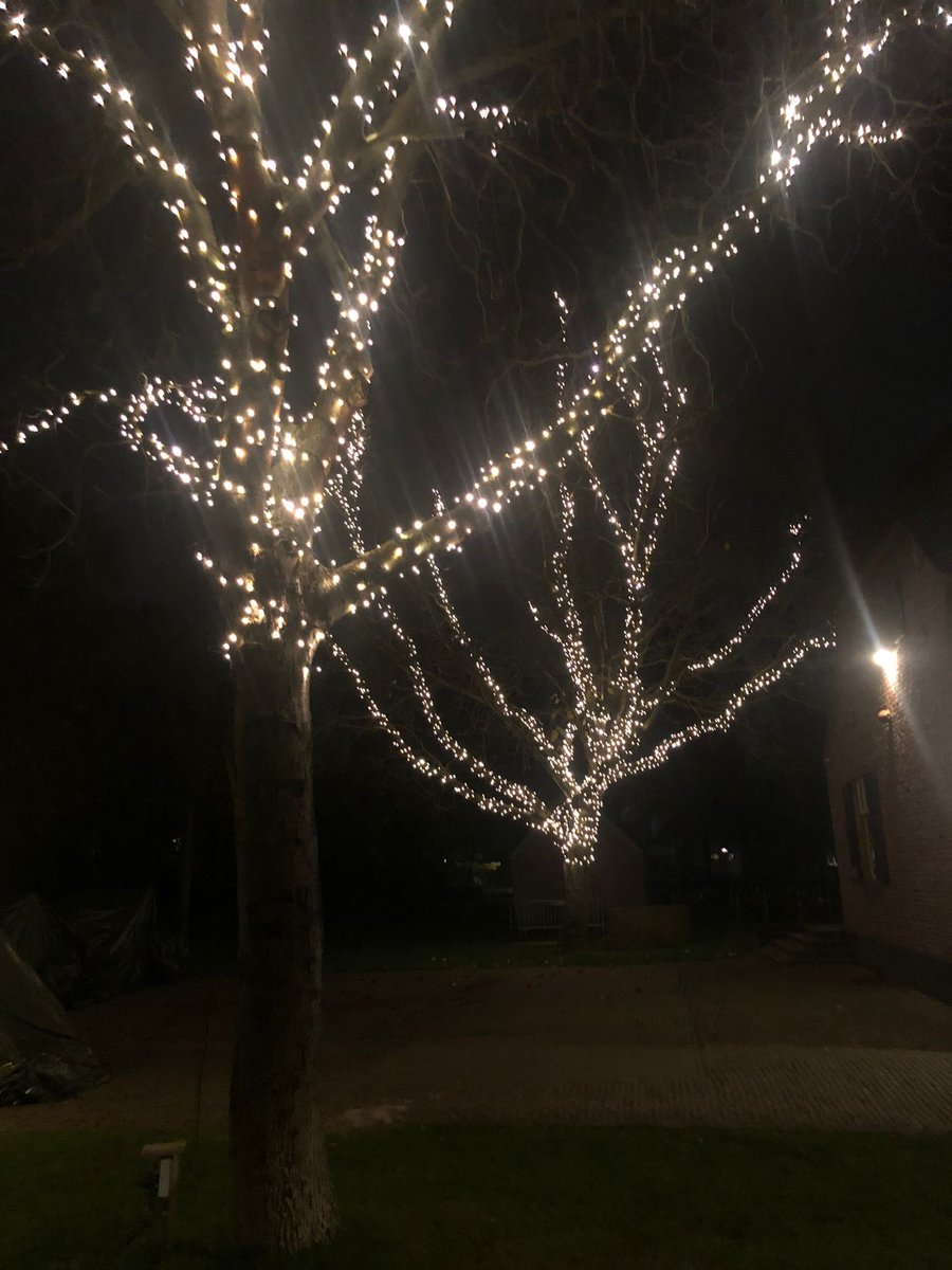 De lichten van festival Glow in Eindhoven doven een dagje eerder vanwege de coronamaatregelen…. Bij ons in de museumtuin mogen de lampjes gelukkig blijven branden! 😉 Zo komen we alvast in de stemming voor de feestdagen. En we zijn erg blij dat het museum geopend mag blijven!