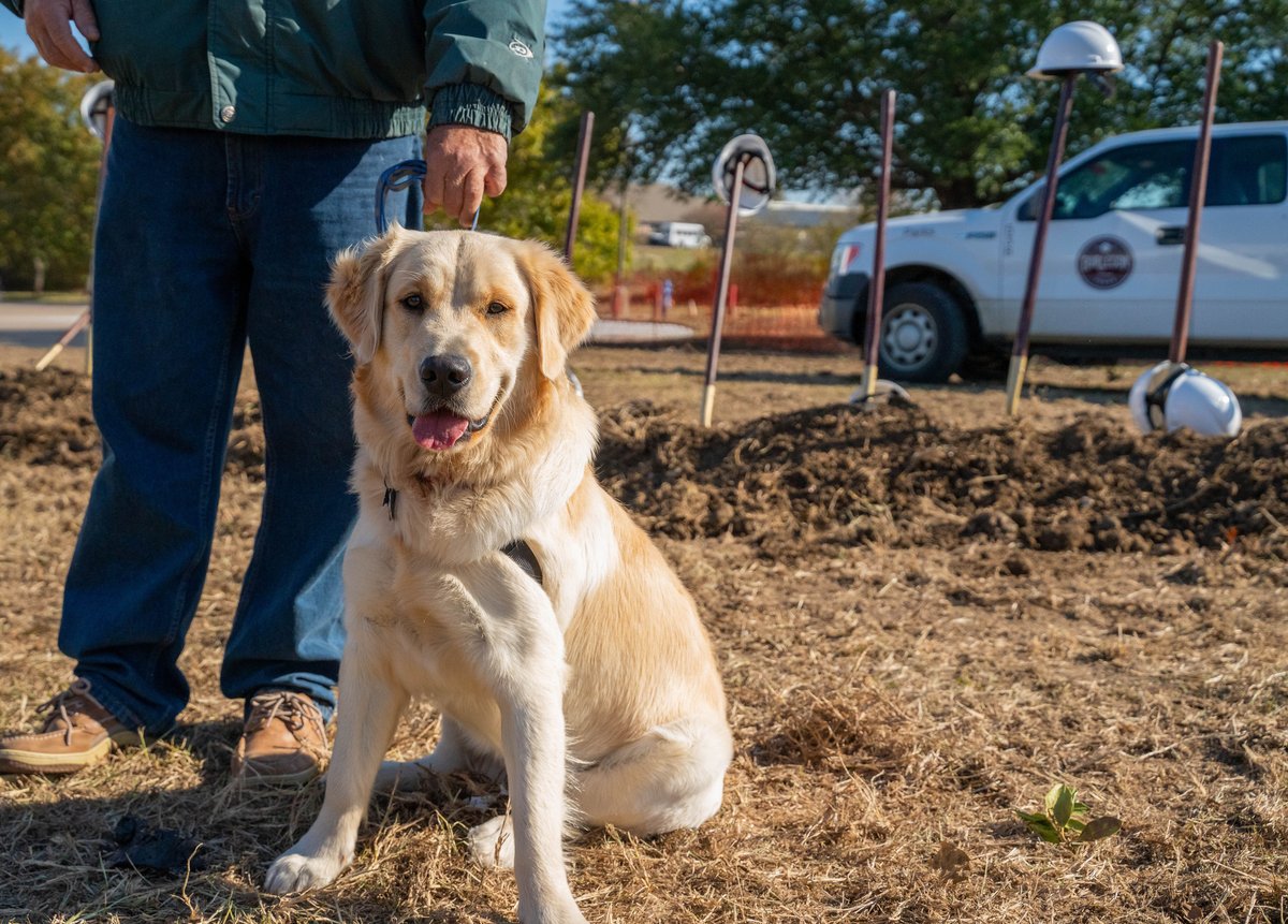 CityofBurleson's tweet photo. Burleson city council, members of the parks and recreation board, along with city staff, broke ground on the city’s first dog park Nov 12. 
The 39,670SF dog park with areas for both large &amp; small dogs will be located at 620 Memorial Plaza. 
Expected completion is Spring 2022. https://t.co/L9cPbL5BTV