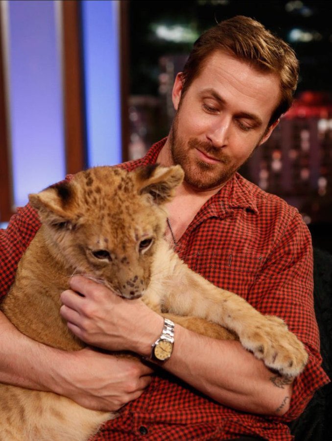 Actually happy birthday to BOTH dilf ryan gosling and milf anne hathaway 
