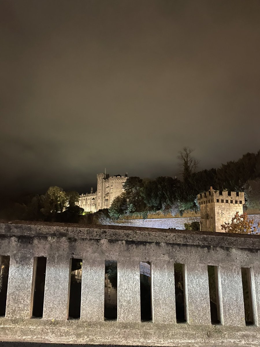 Shenanigans Walks tweet media