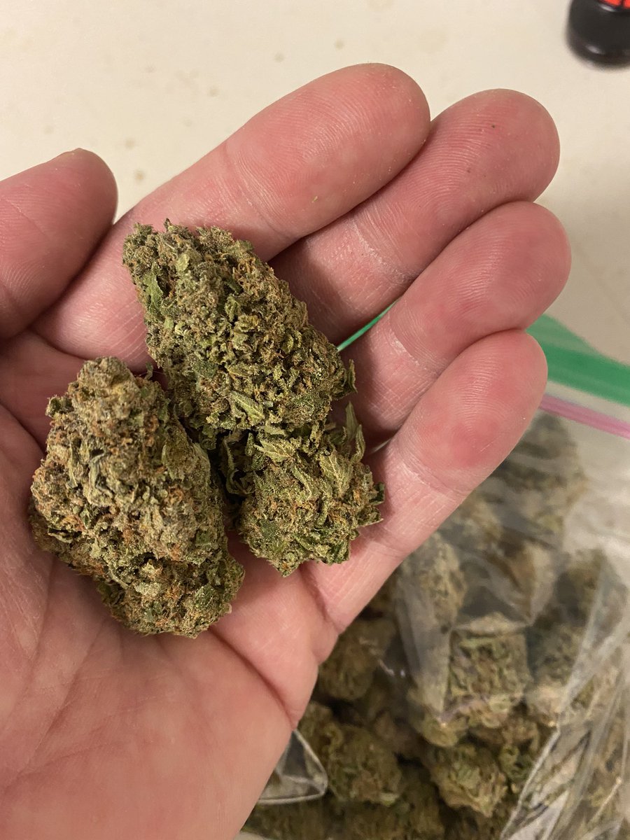 BCsBestExpress's tweet photo. Staff Pick of the day! Apple Fritter #organic #happy #photoftheday Dont miss out! #FridayFeeling #canada #mmemberville https://t.co/j740pcc7kx