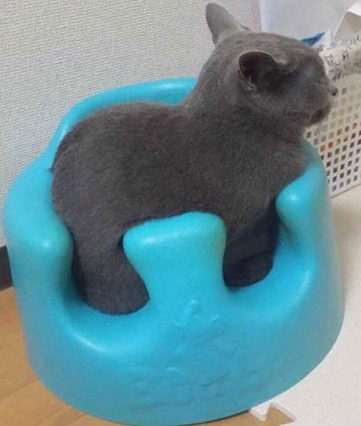 DNA_RNA_Uni's tweet image. The lock and key model is one of two models which describe the enzyme-substrate interaction. The lock and key model assumes that the active site of the enzyme and the substrate are equal shaped. It supposes that the substrate fits perfectly into the active site of the enzyme