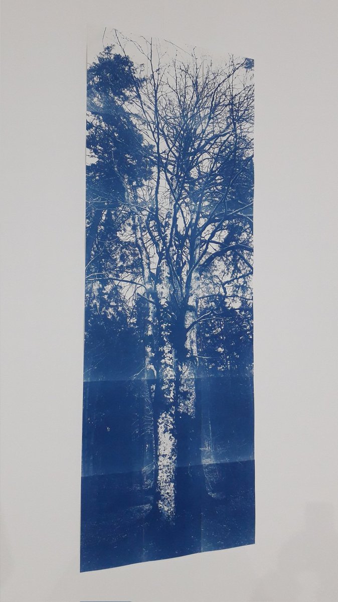 Jagjit Kaur's painting in <a href="/twoqueensstudio/">Two Queens</a> Members Show and one of Jonathan Dredge's cyanotypes in 'Still Life' at Leicester Contemporary. <a href="/Leic_ArtWeek/">LeicesterArtWeek</a>