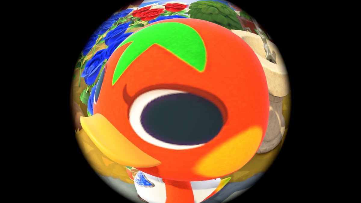 Madi 🐸 tweet media