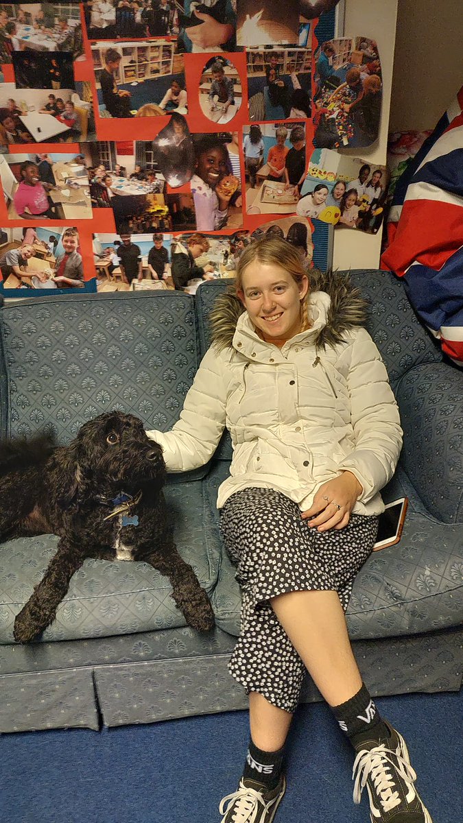 PrebendalBoard's tweet photo. It's Friday night, it's movie night! We wonder if Melody is here for the yummy treats or because she can't wait to watch the new Home Alone with her friends 😉 #iloveboarding #ilovetreats #BoardingDog #fridaynightfun #ChoristerLife #BoardingInChi https://t.co/FRS6BVwRlQ