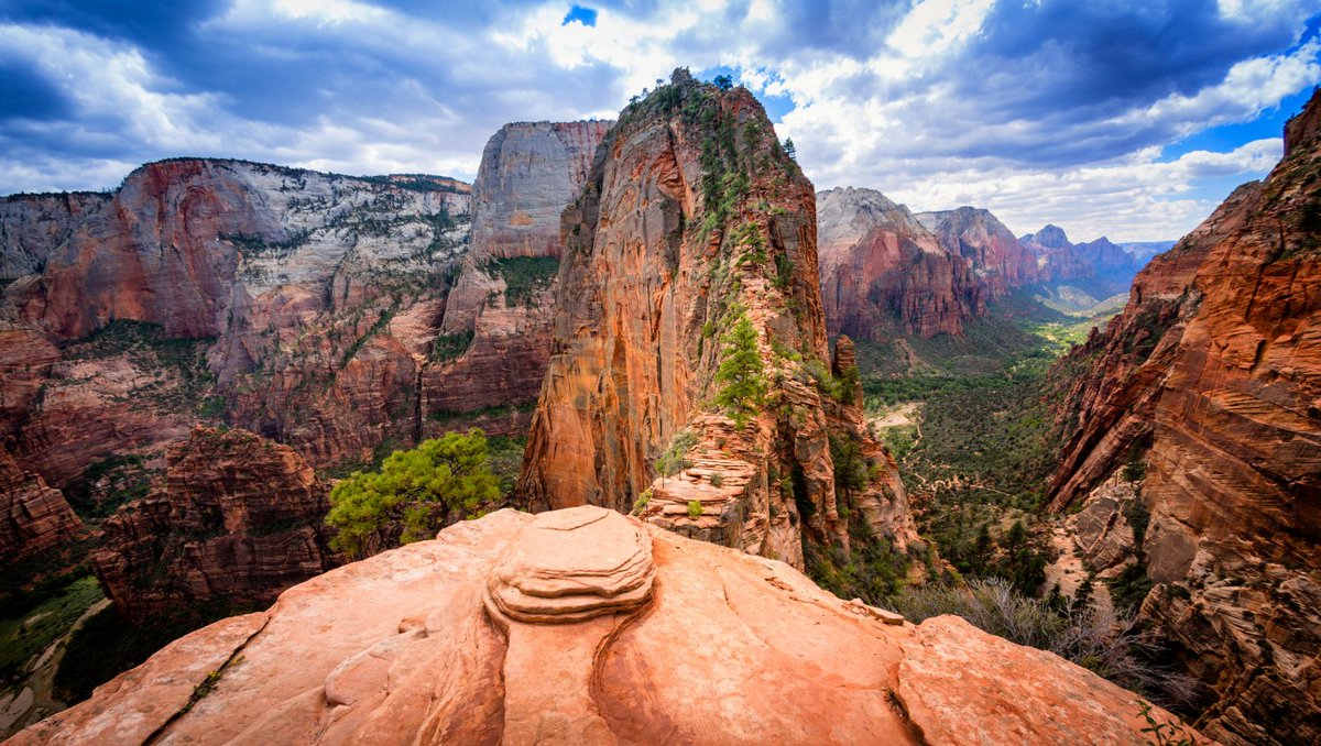 Park of the Week: #ZionNationalPark
Did you know that the largest flying bird in North America is found in Zion National Park? The #CaliforniaCondor remains one of the world's rarest bird species: as of 2019 there are only 518 living in the wild or in captivity. #visitusaparks