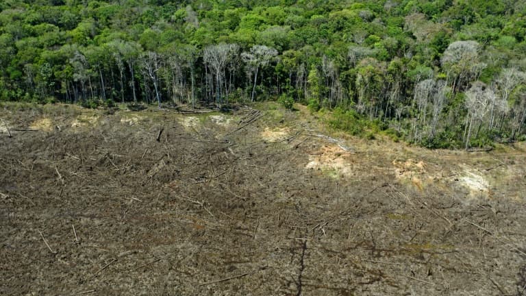 BFMTV's tweet photo. Brésil: déforestation record en Amazonie en octobre
https://t.co/oLXgxW0D6k https://t.co/N0o910swDt