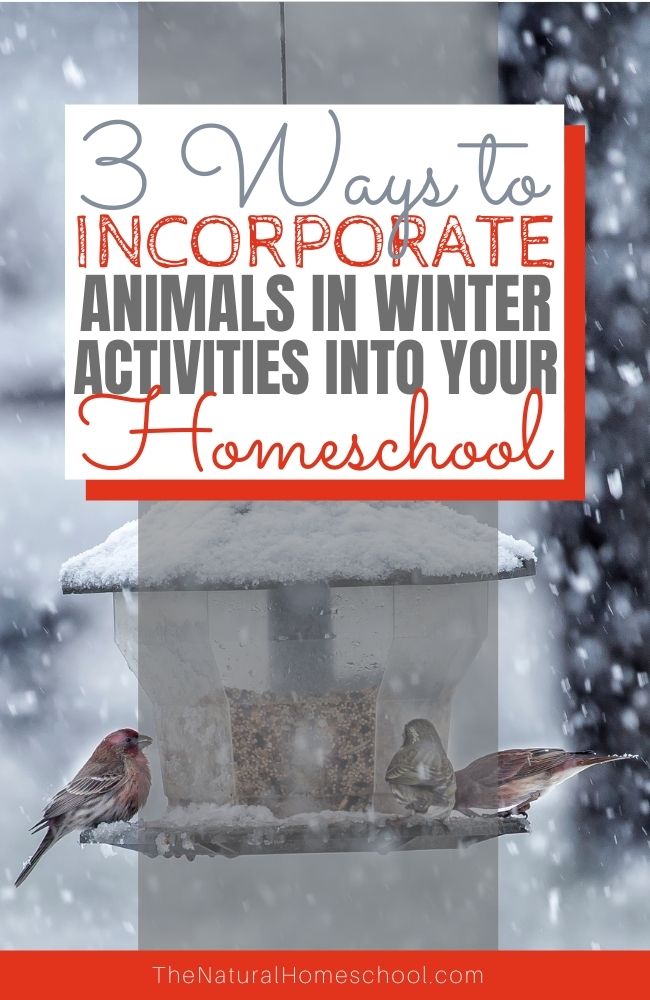 nathomeschool's tweet photo. 3 Ways to Incorporate Animals in Winter Activities into your Homeschool https://t.co/YqYyHpxkNb In this training, we are going to focus on three activities that you can do to learn more about Animals in... #animalsinwinter #hibernation #winteractivitiesforkids #homeschoolinwinter https://t.co/Wx7hI2GZMX