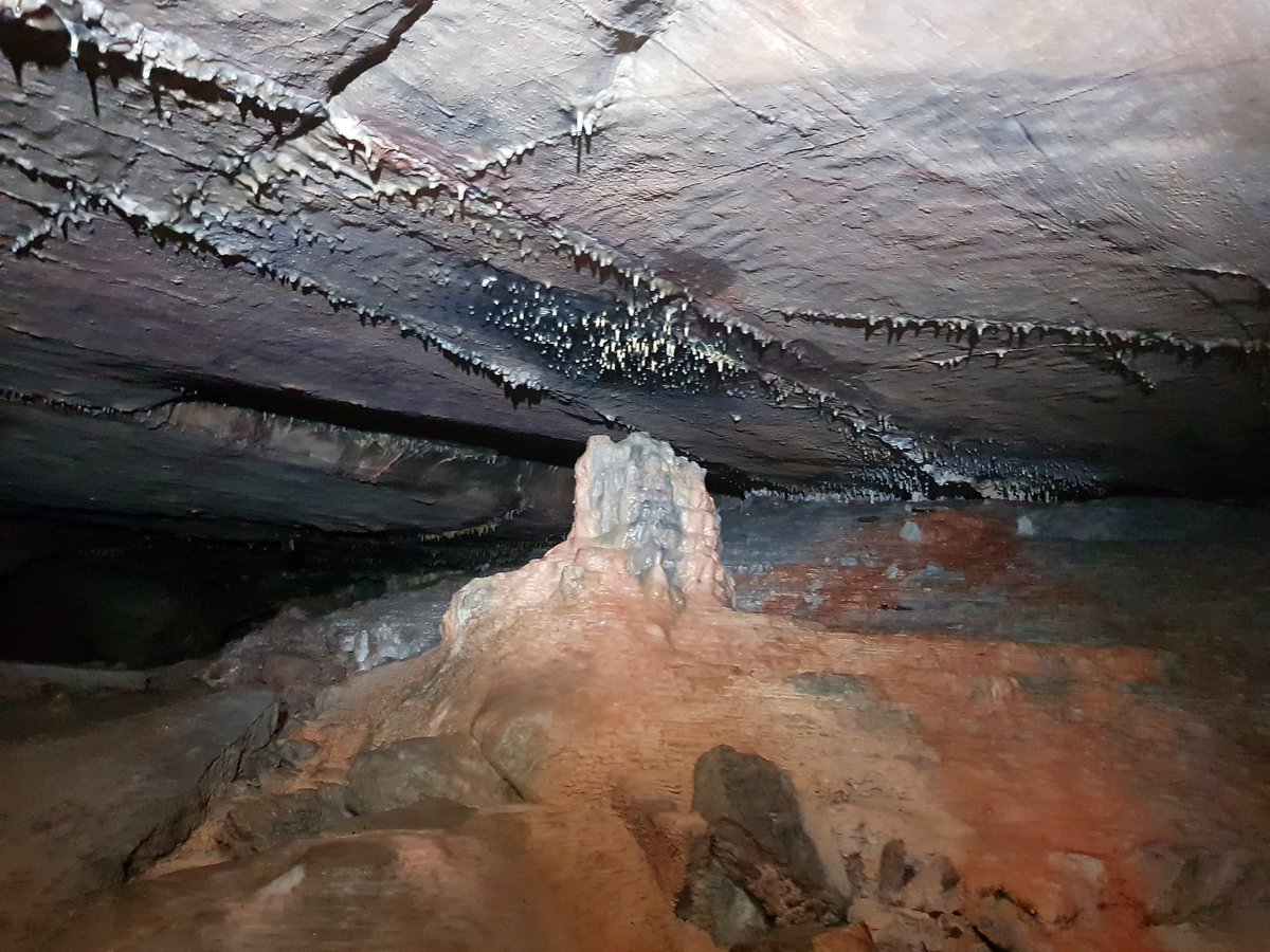 Bob Stone tweet media