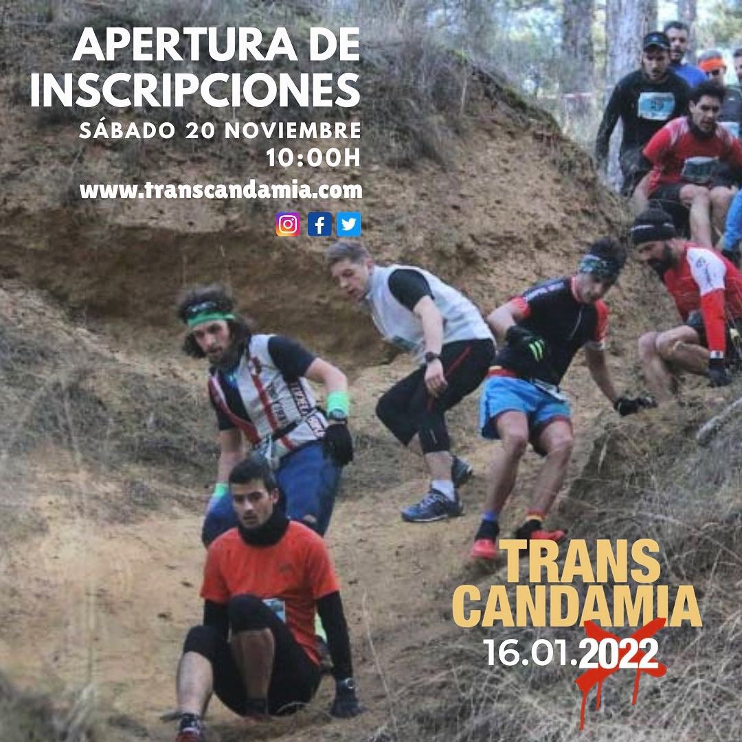 TRANSCANDAMIA tweet media