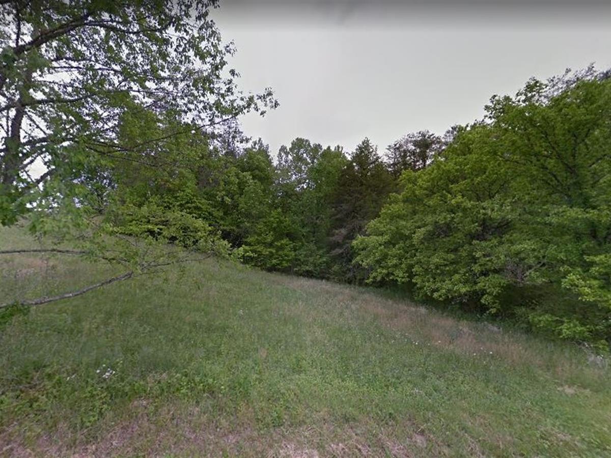 LOTFLIP's tweet photo. Feature Lot: This 1.86 +/- acre lot is just outside of Allen Grove, TN. It is partially cleared, has paved road frontage, and easy access to power. It’s the perfect place to build your dream home. Offered by David Vansteenkiste with Mile High Rural Land. https://t.co/9sJ3rbe6on https://t.co/HnvR61cQum