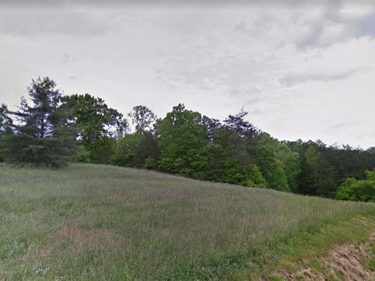 LOTFLIP's tweet photo. Feature Lot: This 1.86 +/- acre lot is just outside of Allen Grove, TN. It is partially cleared, has paved road frontage, and easy access to power. It’s the perfect place to build your dream home. Offered by David Vansteenkiste with Mile High Rural Land. https://t.co/9sJ3rbe6on https://t.co/HnvR61cQum