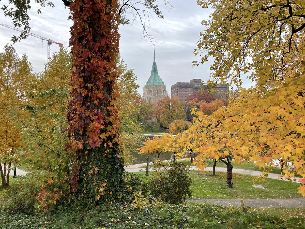 Avner Schlessinger tweet media