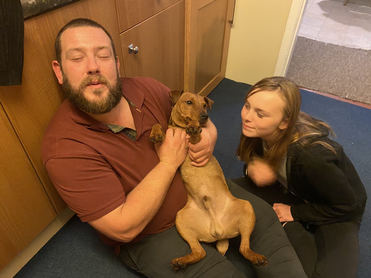 normanlakeland's tweet photo. My sister and I not looking impressed with tipsy dad 😂
#dogs #dogsoftwitter #daddysboy #drunkdad #tipsy #fridaynightdrinks https://t.co/JSqw0IiEXw