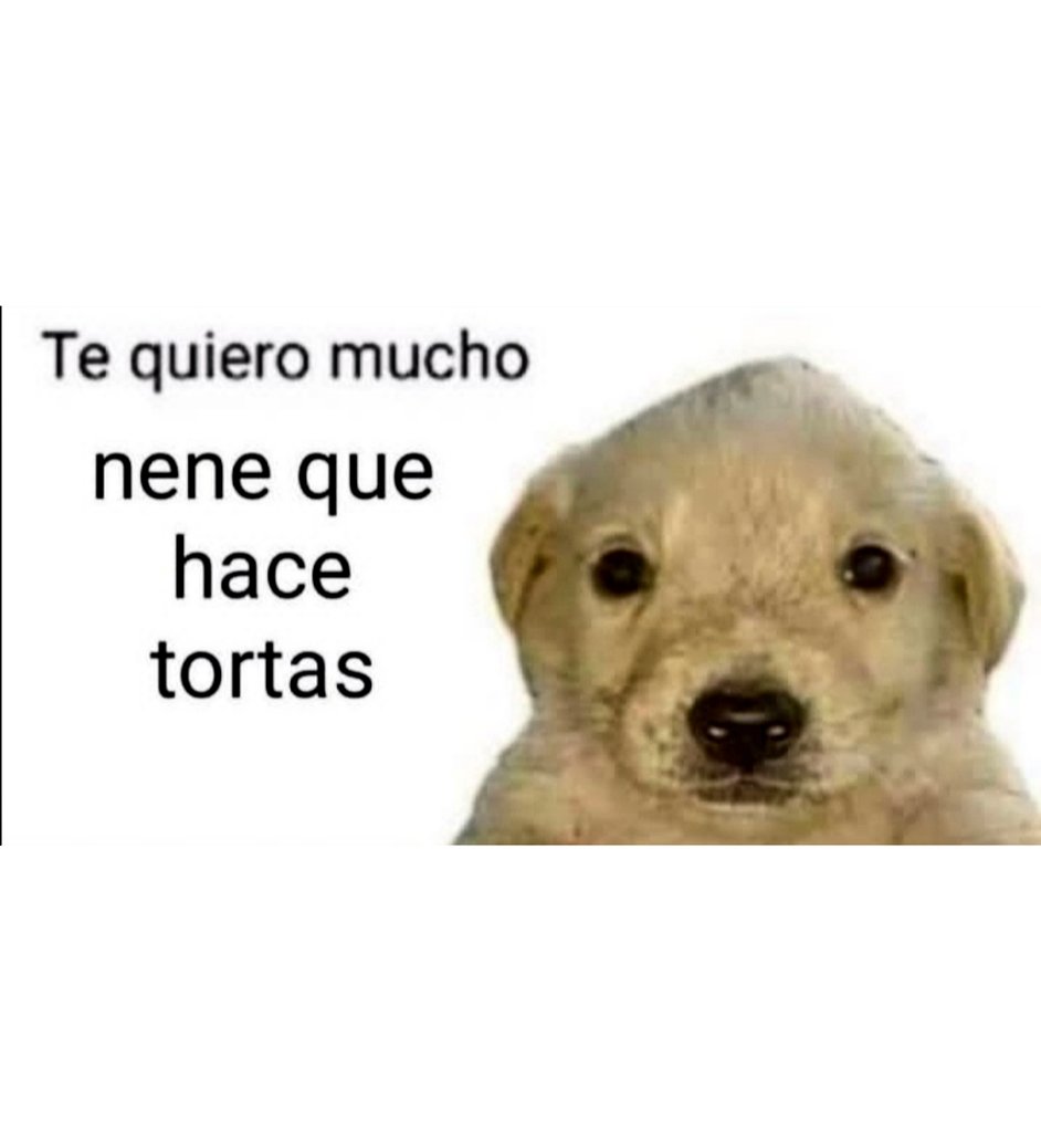JOSEESCAURIZA's tweet photo. https://t.co/IGntEHlRqU