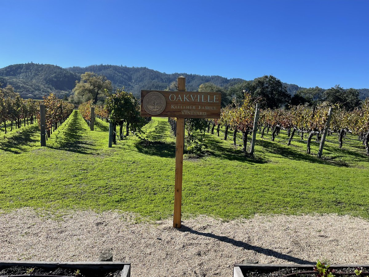 Kelleher Wines (@Kelleherwines) / Posts / X