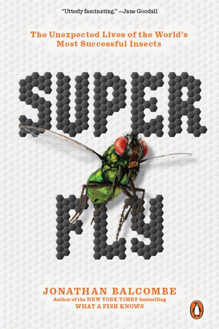 I'm delighted to announce that my latest popular science book, Super Fly, has won the National Outdoor Book Award for natural history. noba-web.org/books21.htm
