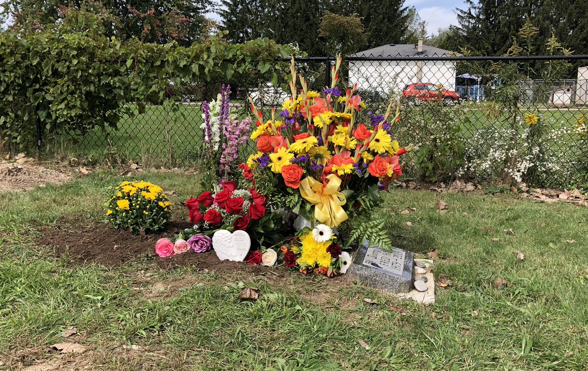 Andrew Langdon 🏄🏾♂️ tweet media