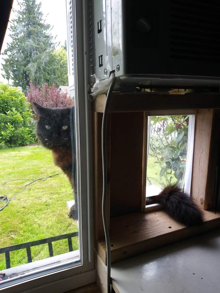 ChanceofXYZ's tweet photo. Redefining tail risk https://t.co/HJoUQVwakS