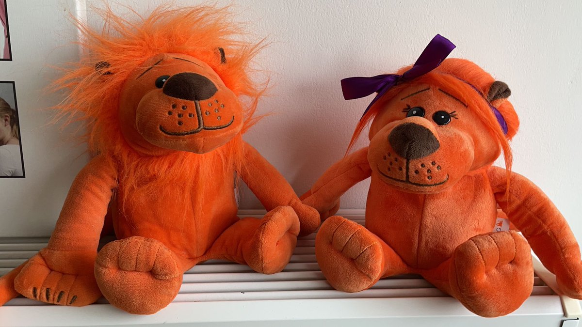 Wanneer je een jongen en een meisje krijgt <a href="/ingnl/">ING Nederland</a>