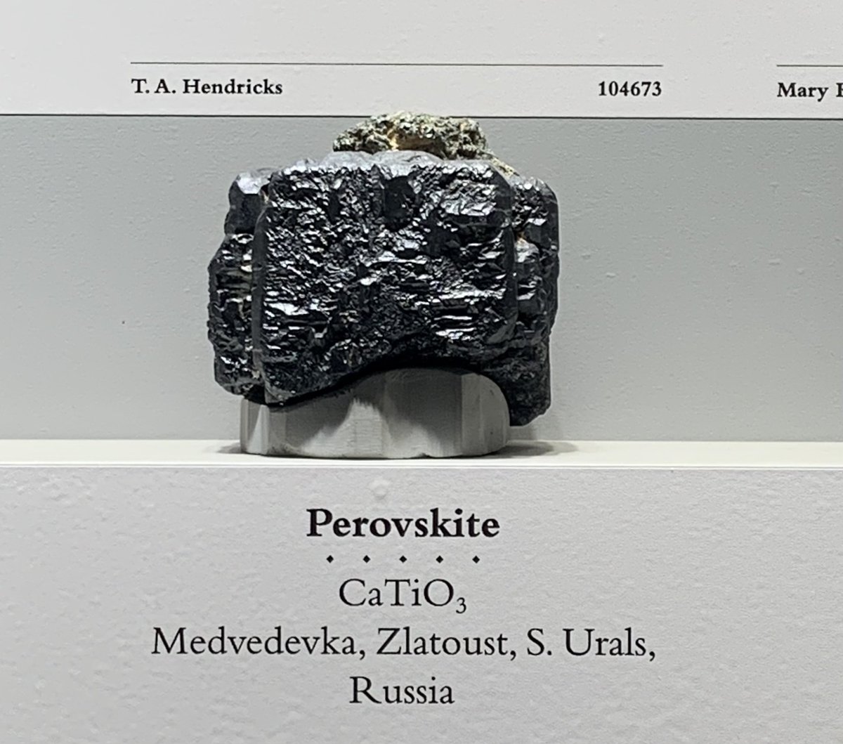 Stephanie Moffitt tweet media