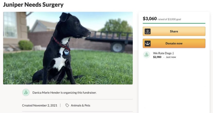 screenshot of fully funded GoFundMe campaign