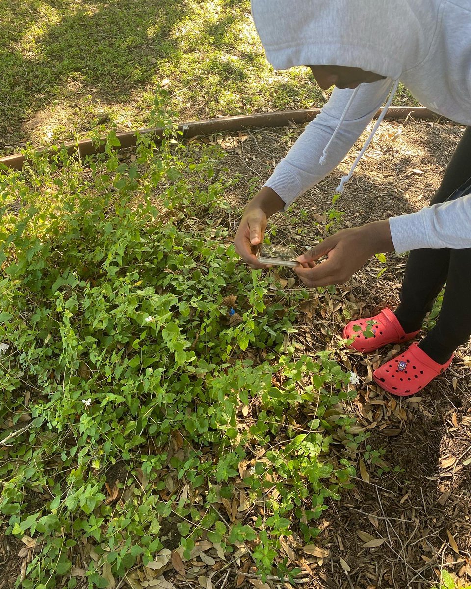 OhSnap_MsB's tweet photo. Today was a lovely to do a field lab 😊🌳🌞 #EnvironmentalSystems @HHS_Canes https://t.co/4ownyJIFoS