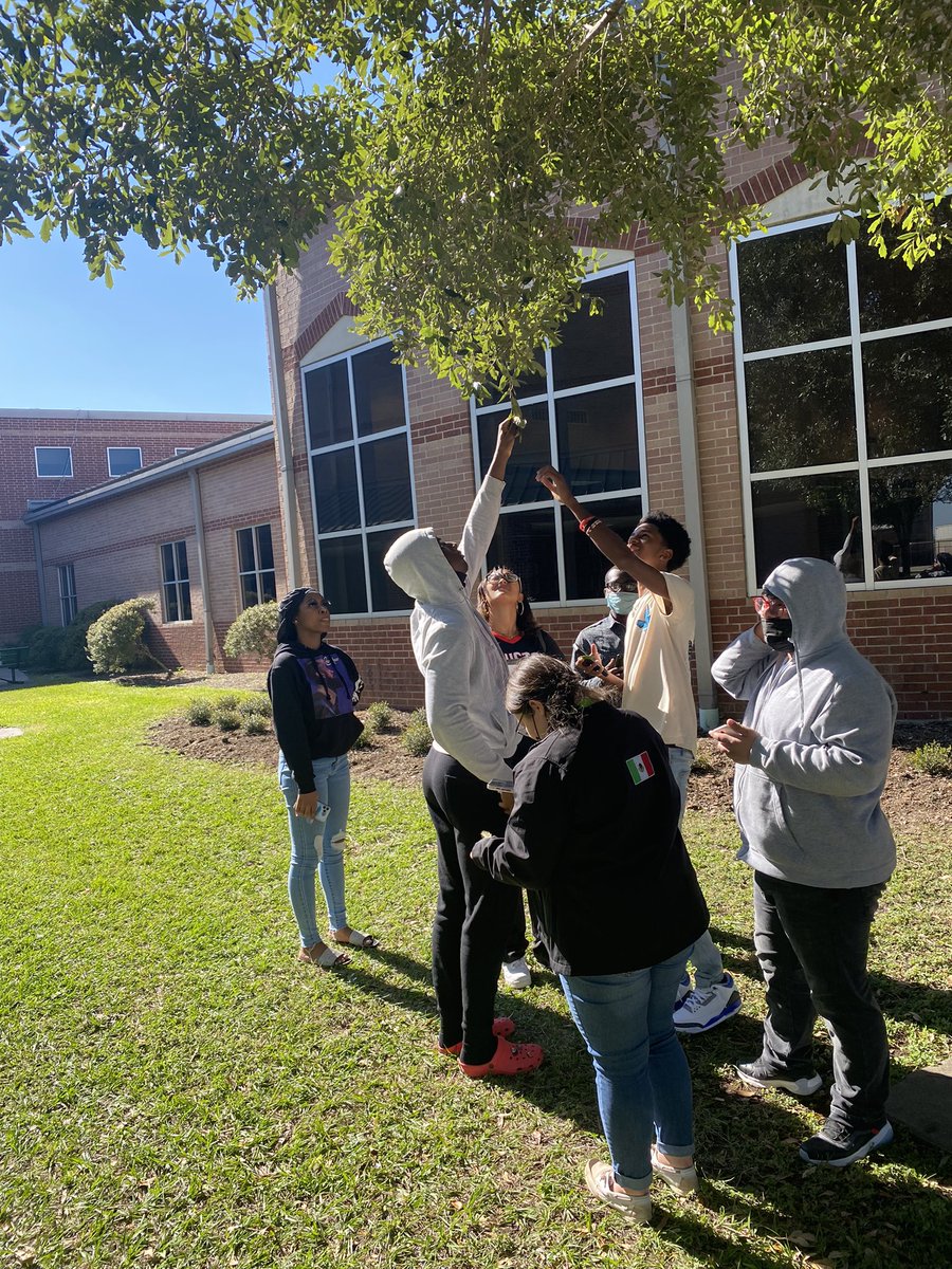 OhSnap_MsB's tweet photo. Today was a lovely to do a field lab 😊🌳🌞 #EnvironmentalSystems @HHS_Canes https://t.co/4ownyJIFoS
