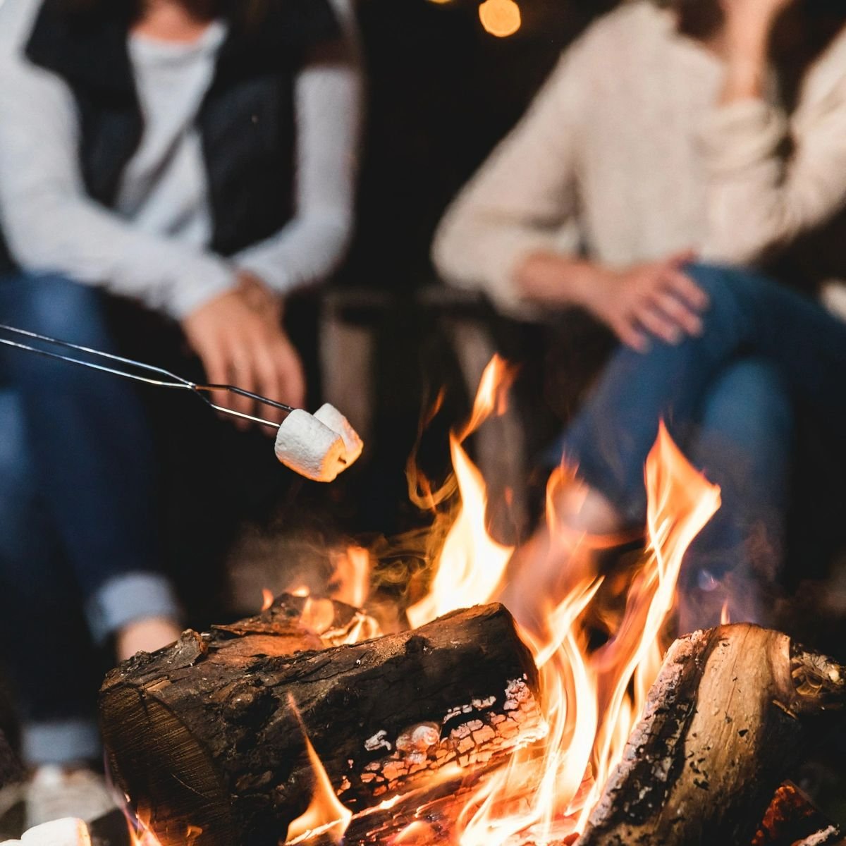 ipmstrategy's tweet photo. Bonfire season has arrived -- our lawn services will make sure you and your friends have a pest-free space to enjoy it in full. https://t.co/sywnjtb2o6