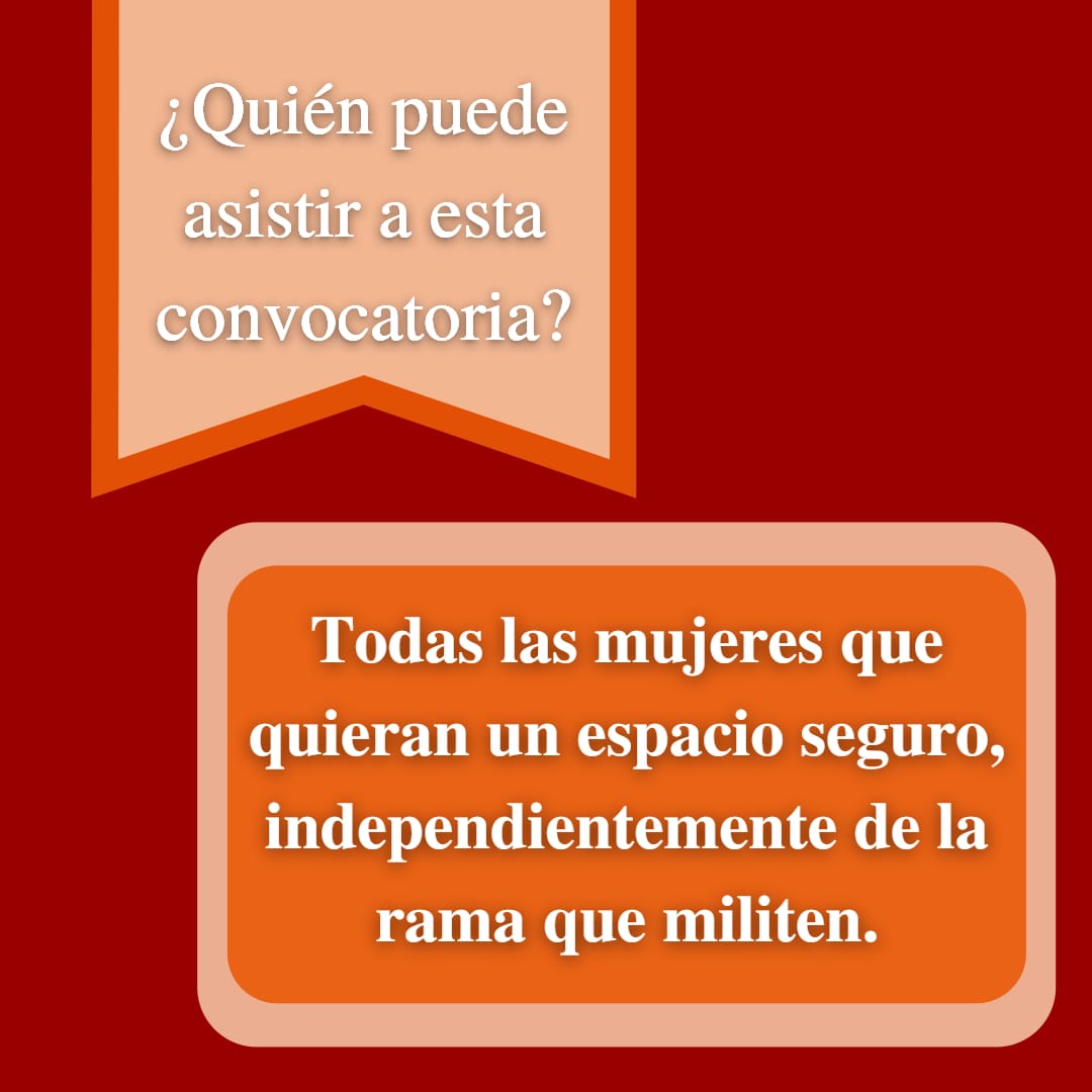 organizadaspy's tweet photo. Como mujeres, queremos garantizar la seguridad de otras mujeres cuando salimos a las calles, queremos que se sientan acompañadas y acogidas independientemente de la rama que militen, o si militan de manera individual o en espacios de mujeres. https://t.co/YAN22sSp27